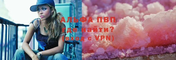 индика Ростов