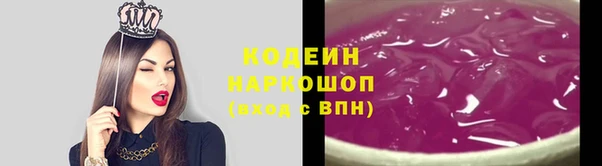 индика Ростов