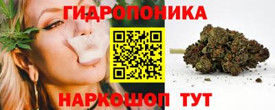 скорость Гатчина