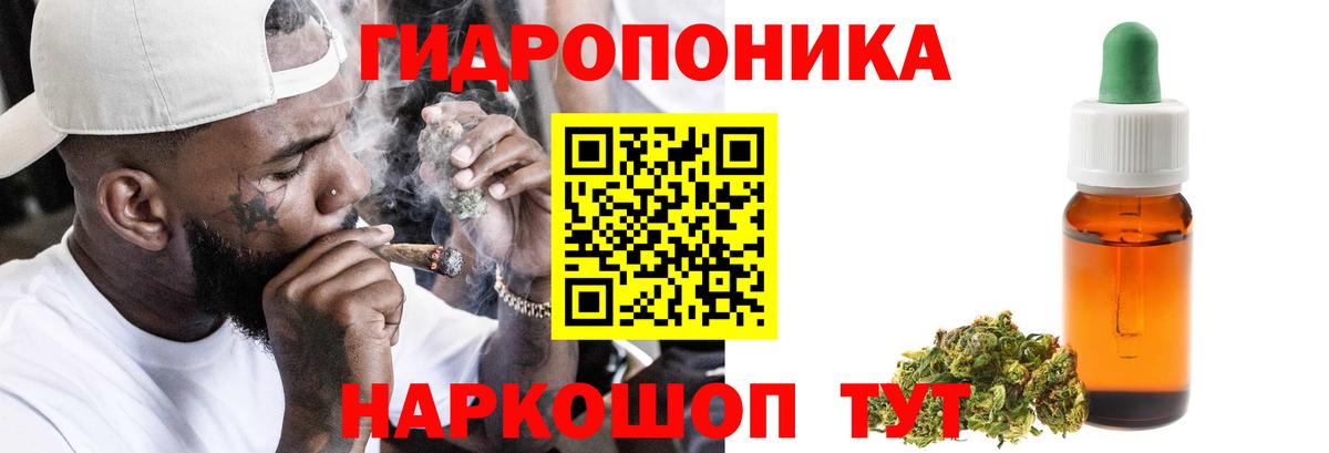 Бошки марихуана план Лянтор